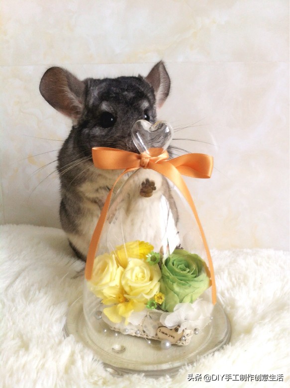 diy手工永生花制作全过程,diy永生花怎么做的