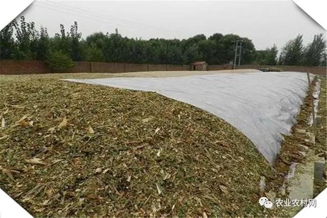 10万左右在农村能开个什么加工厂,10万块钱能在农村建什么厂