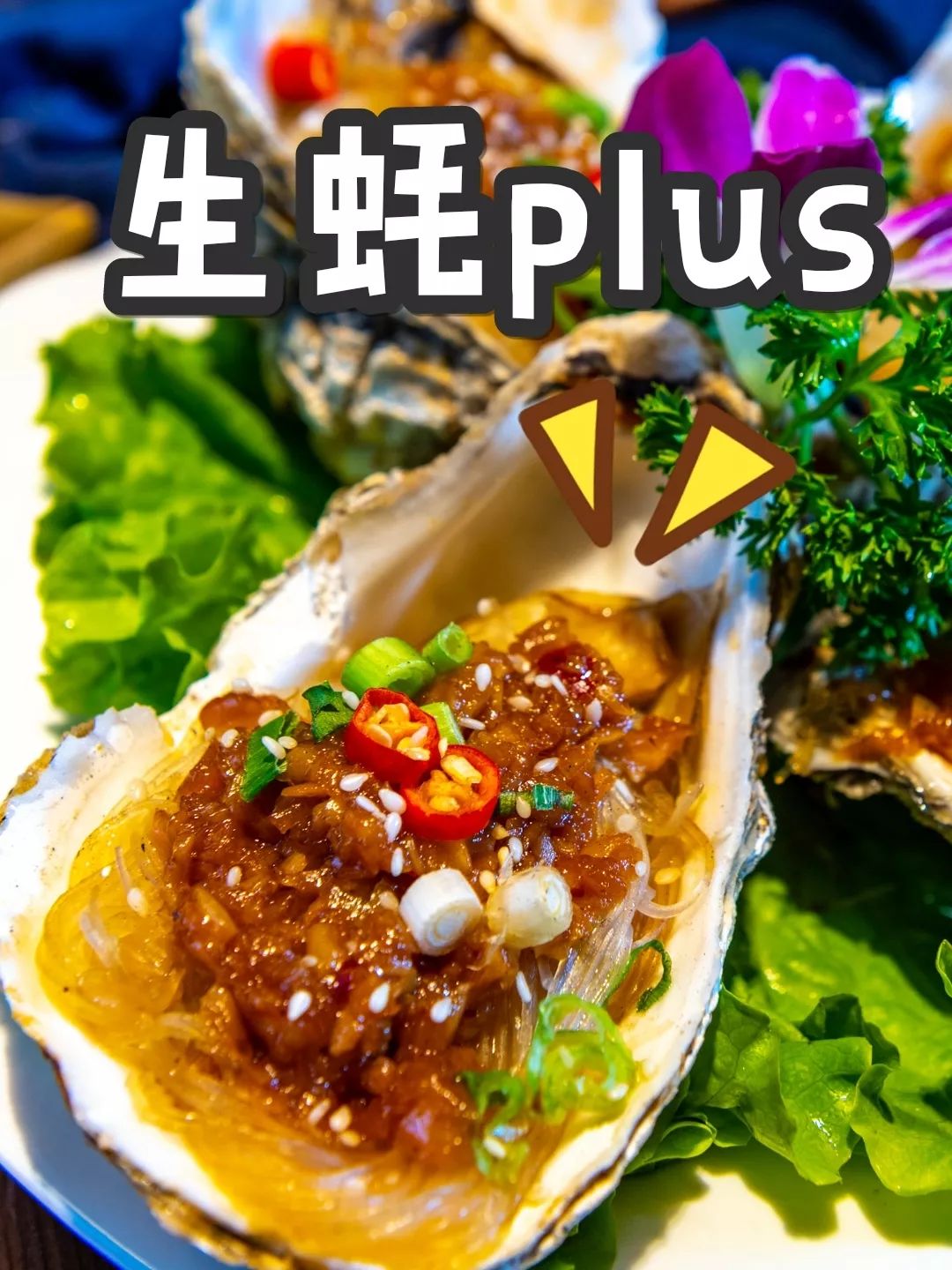 大连生蚝吉拉多,大连最大的生蚝