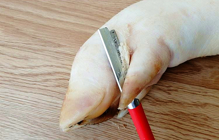 猪皮上有猪毛用什么办法能拔净,猪皮上有毛怎么去除