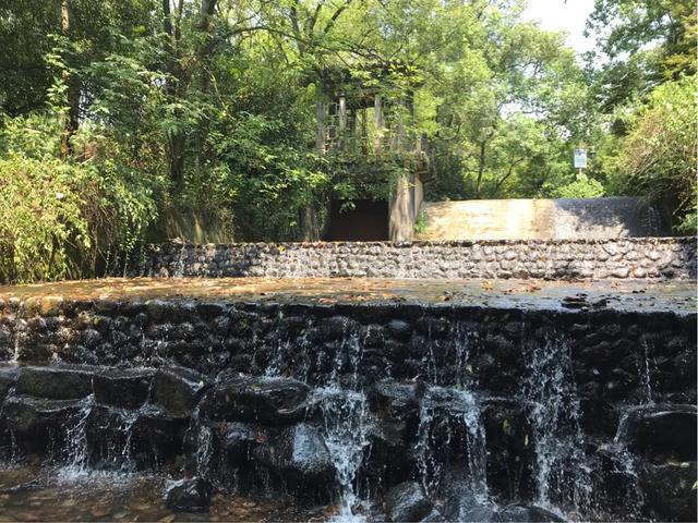 九溪避暑好去处,九宫山避暑胜地亲子游