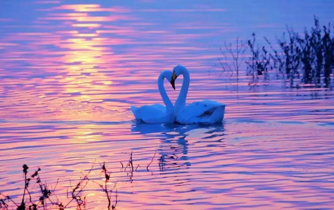 中国最具幸福感县级市江浙,中国最具幸福感县级市名单