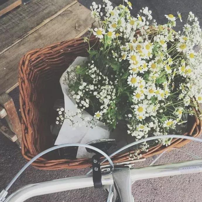 朋友圈封面背景图怎么设置,微信朋友圈封面背景图伤感