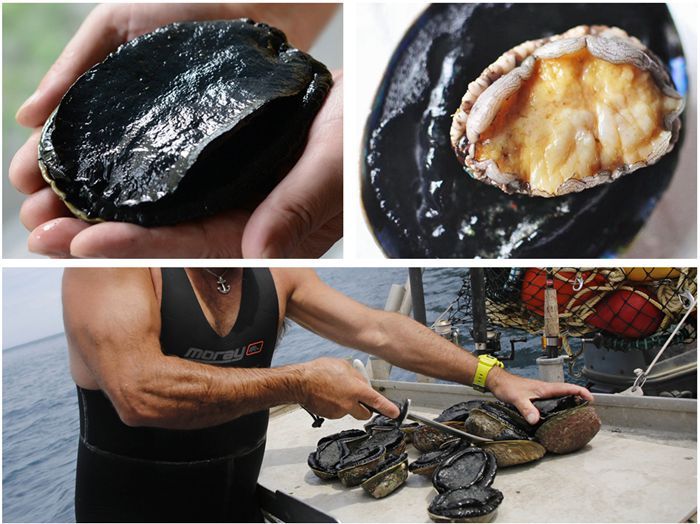 如何对付鲍鱼？且看我收集的厦门厨师这30道菜