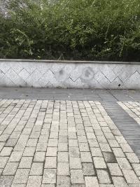 因为爸爸反对家里养狗,奶奶死活不让养狗怎么办