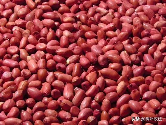 沈阳有什么特色农产品,辽宁省14个市县特产农产品