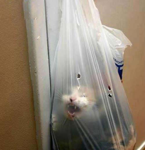 被小学生堵厕所搞笑视频,被一群小学生堵厕所怎么办