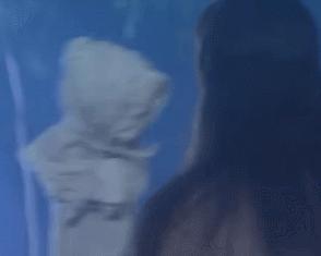 太极剑谱全套,太极剑谱完整版