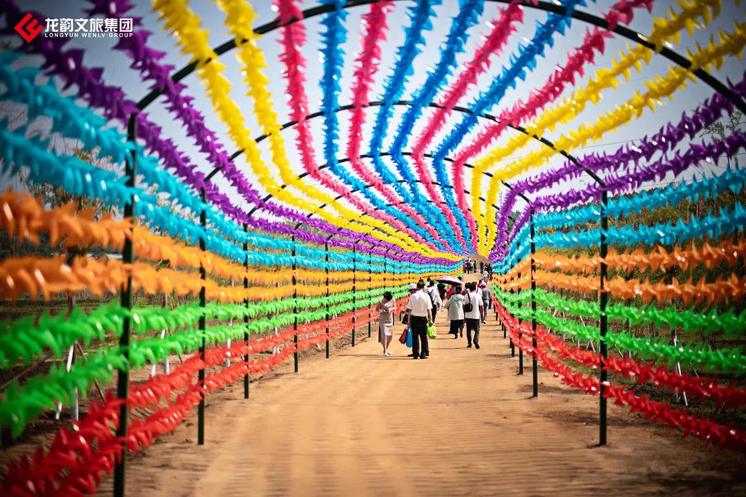 真香预警!300亩花海盛放,烤全羊十里飘香!