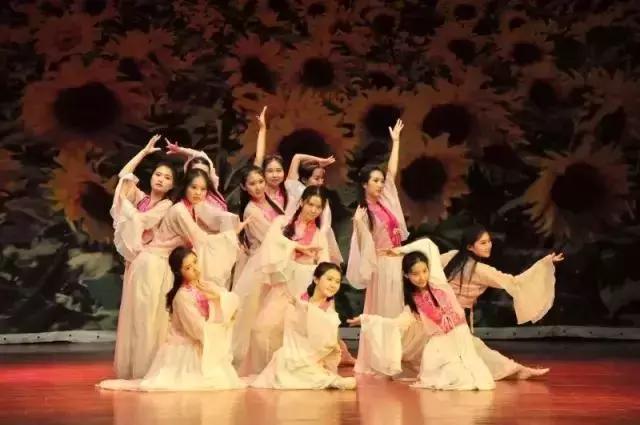 山东省高考志愿填报96个专业,山东高考志愿10万名