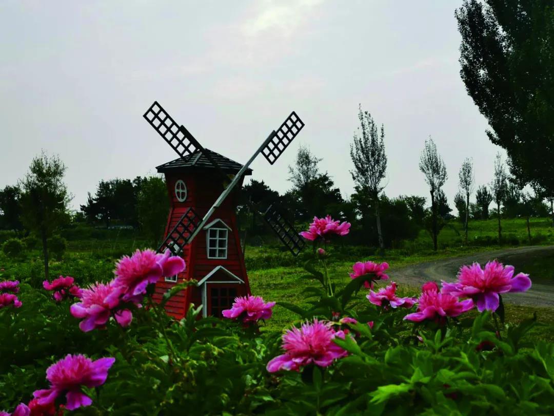 沈阳10月新闻,2018年12月11日沈阳新闻