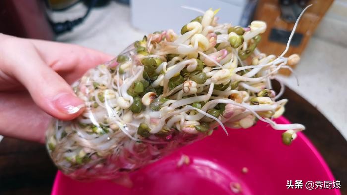 家庭自制生豆芽神器,在家生豆芽简单又靠谱