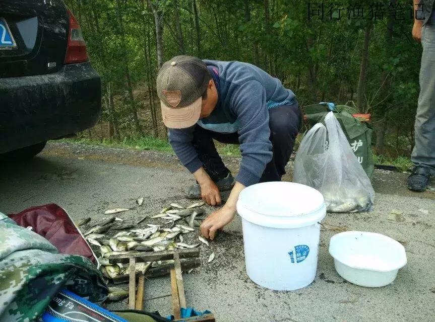 钓鱼记录2019,最新的钓鱼日记