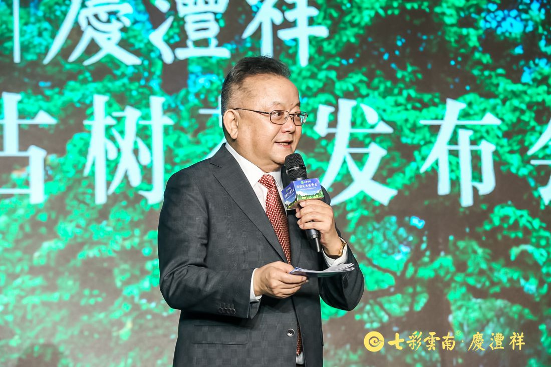 用古树普洱茶致敬美好生活，看吴晓波是如何解读“百山百味”的？