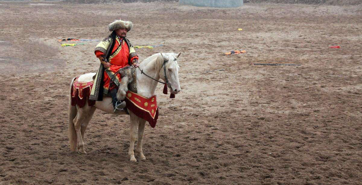 国内值得去的十大动物园,国内最值得去的动物园