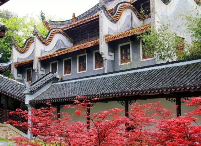 在长沙生活真实感受,在长沙生活你才知道的事