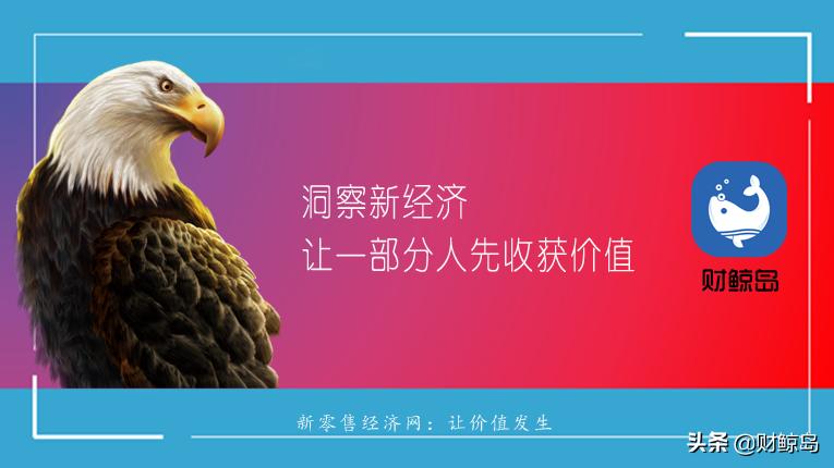 社交电商私域流量新模式,社交电商下一个风口是什么意思
