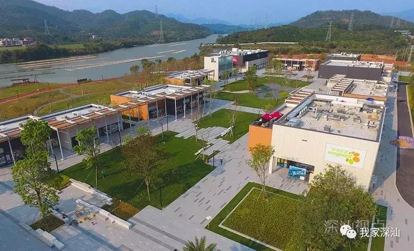 深汕生日快乐,深圳经济特区的生日