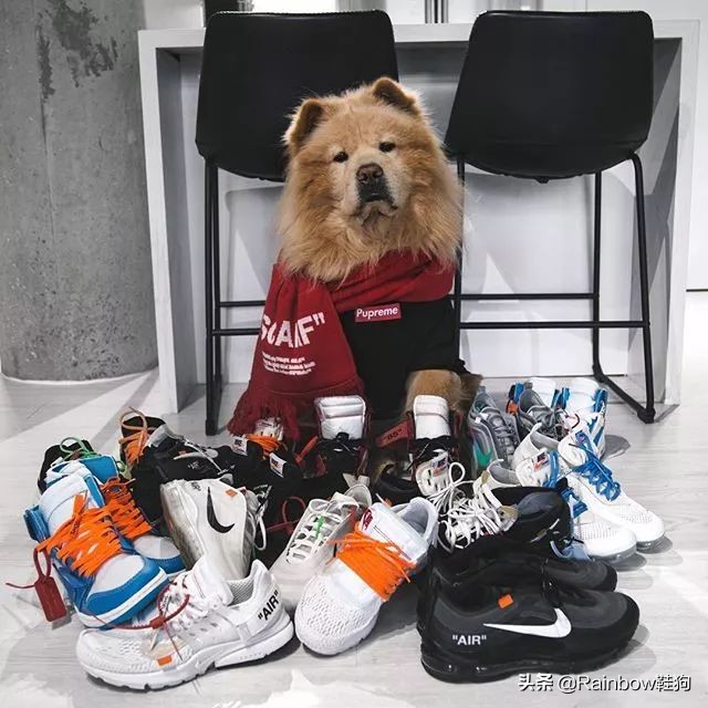 我穿搭学抖音钟爱黑丝配AJ这个社交娱乐至上的时代有何不可?