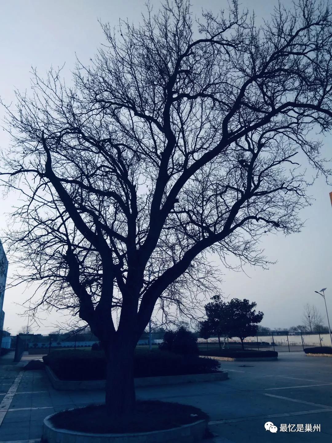 靳清华,靳清华最新视频