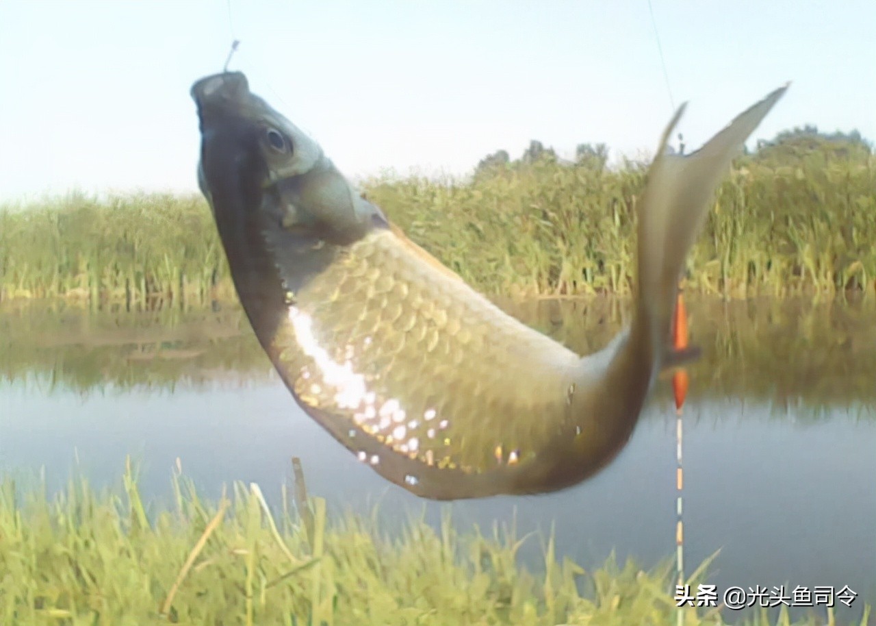 渔具店关门事件,小区门口开渔具店好吗