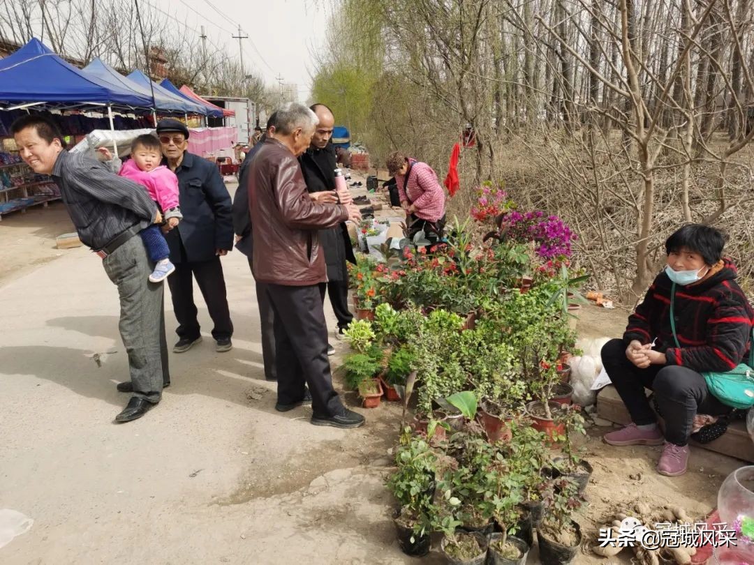 北板桥村赶会,冠县梁堂镇北黄城村历史记载
