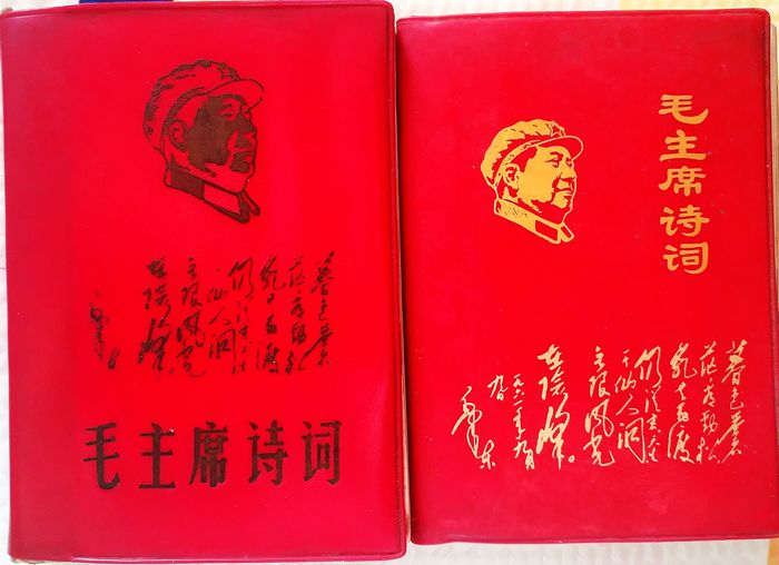 回忆过去的小学课本的视频,回忆五年前学校