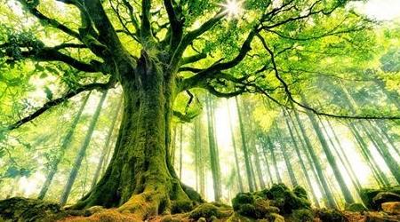 张壮壮考上研究生,协管员张壮壮考研4次终上岸