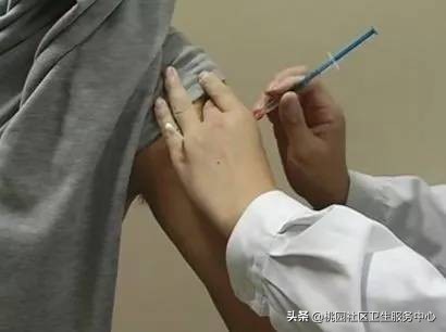 为啥鼠兔咬伤不用打狂犬疫苗,老鼠咬伤要不要打狂犬疫苗