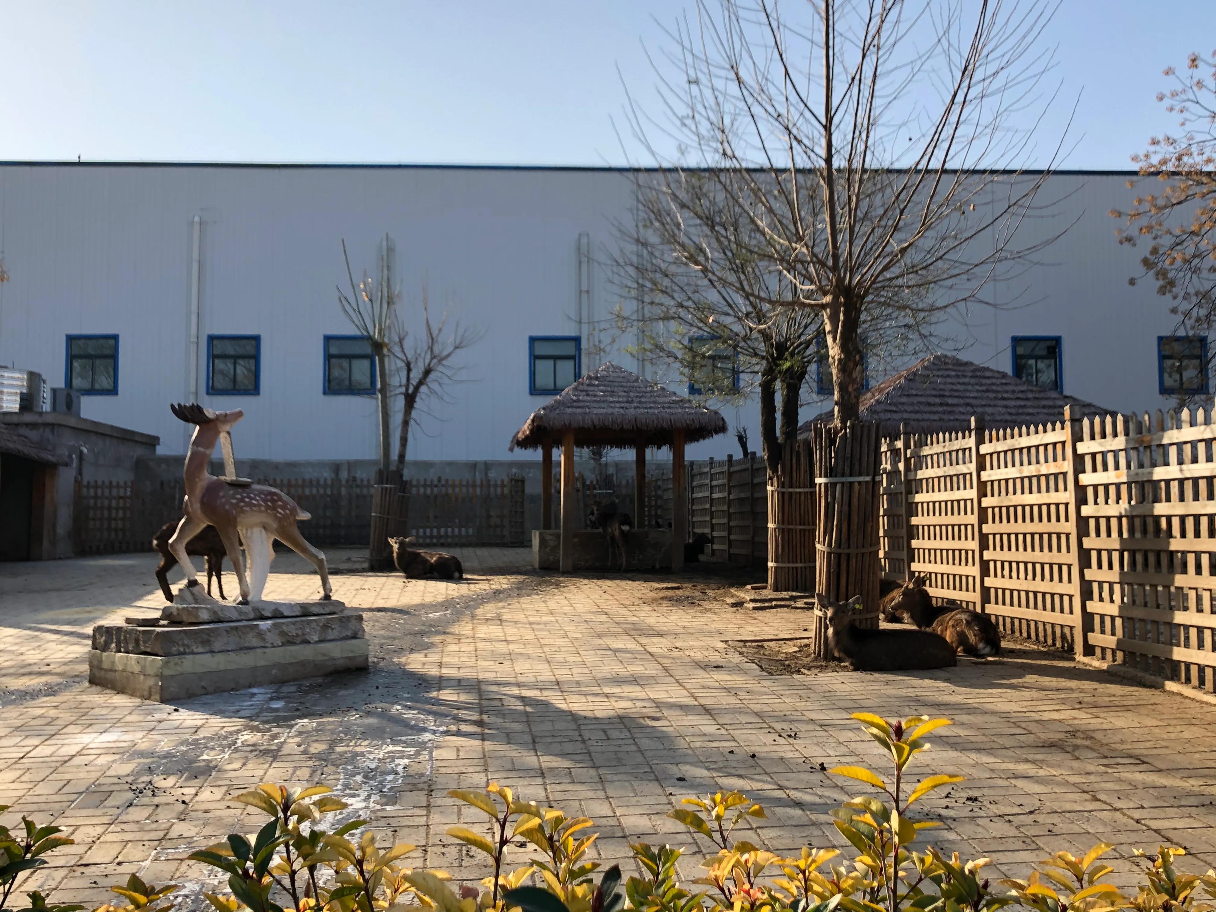 平顶山河滨公园旅游攻略,平顶山森林公园游记