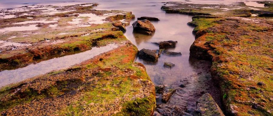 比鼓浪屿大12倍,比三亚安静10倍!这小岛最适合现在去,美轮美奂