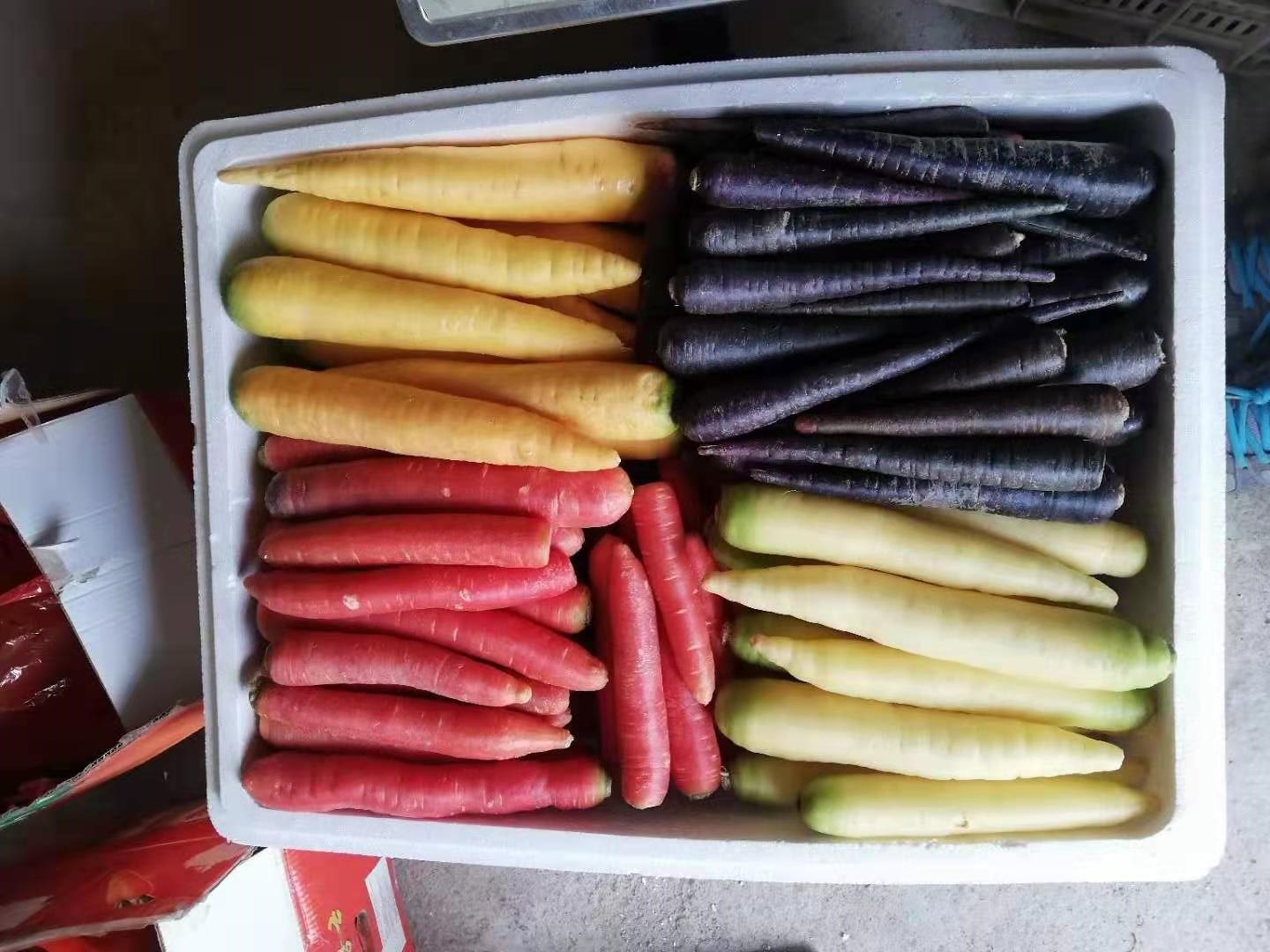 去俄罗斯种地国家有什么政策,普通人去俄罗斯怎么才能种地