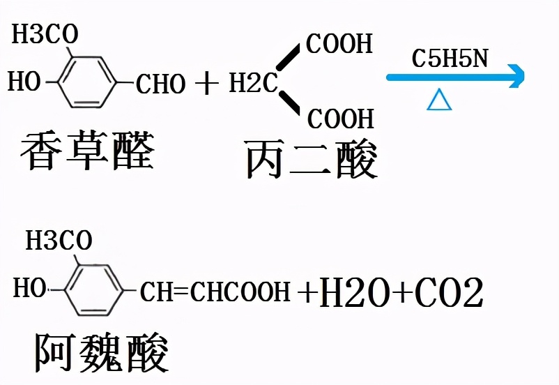 药学博士：护肤界抗衰+美白双炸二合一之阿魏酸，成分分析