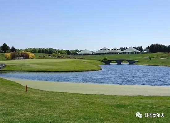 高尔夫球基本知识,高尔夫球的知识