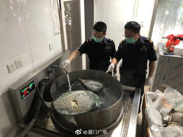 海关查获190箱海鲜产品,海关查获海鲜案件