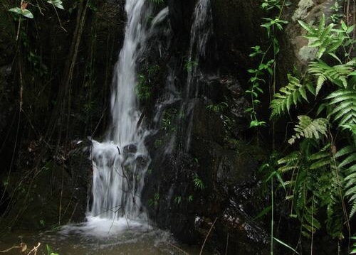农村最近的山上有没有风景,乡村里都有一道特别迷人的风景