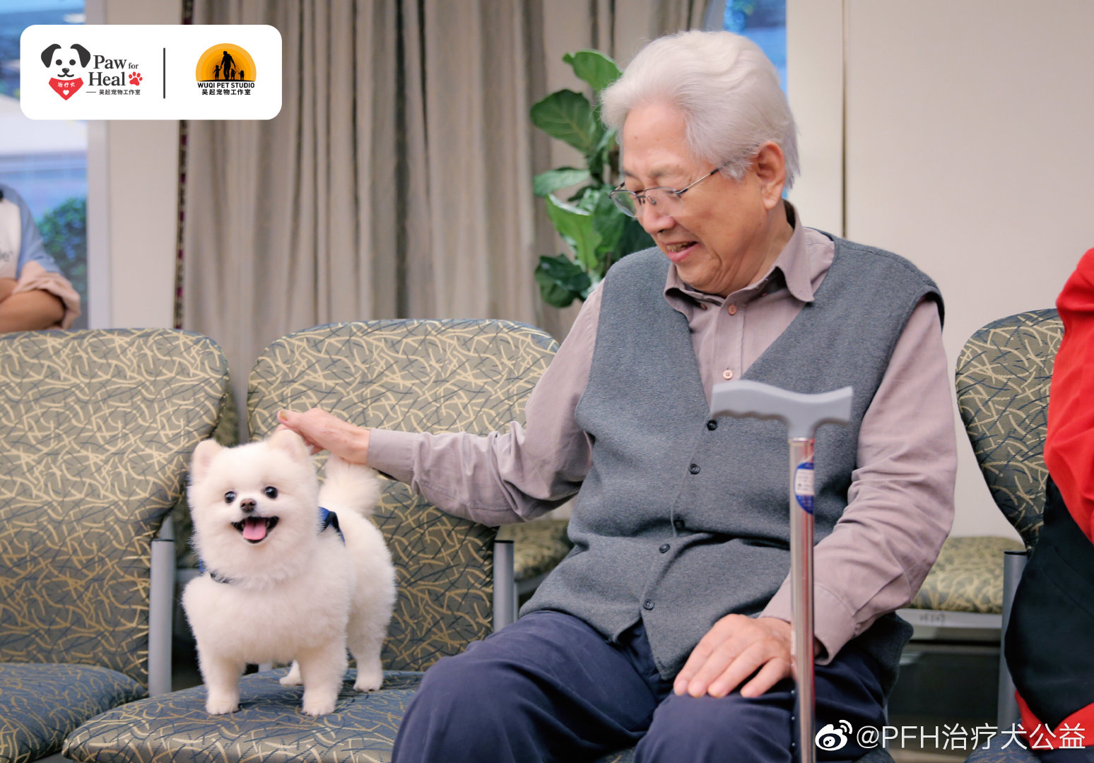 治疗犬到底是怎样的群体？我们的狗狗都能成为治疗犬吗?