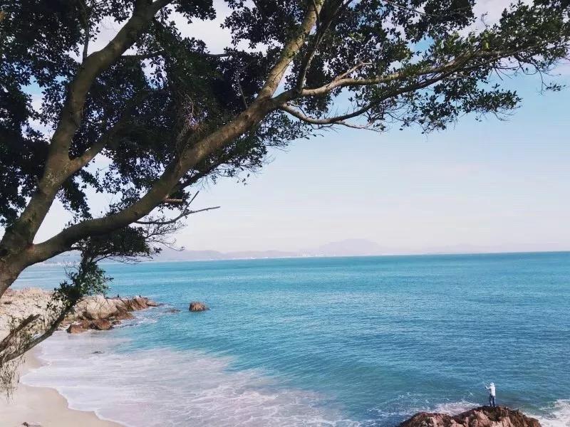 深圳歧视链：凭什么关内瞧不起关外？罗湖又看不上南山？