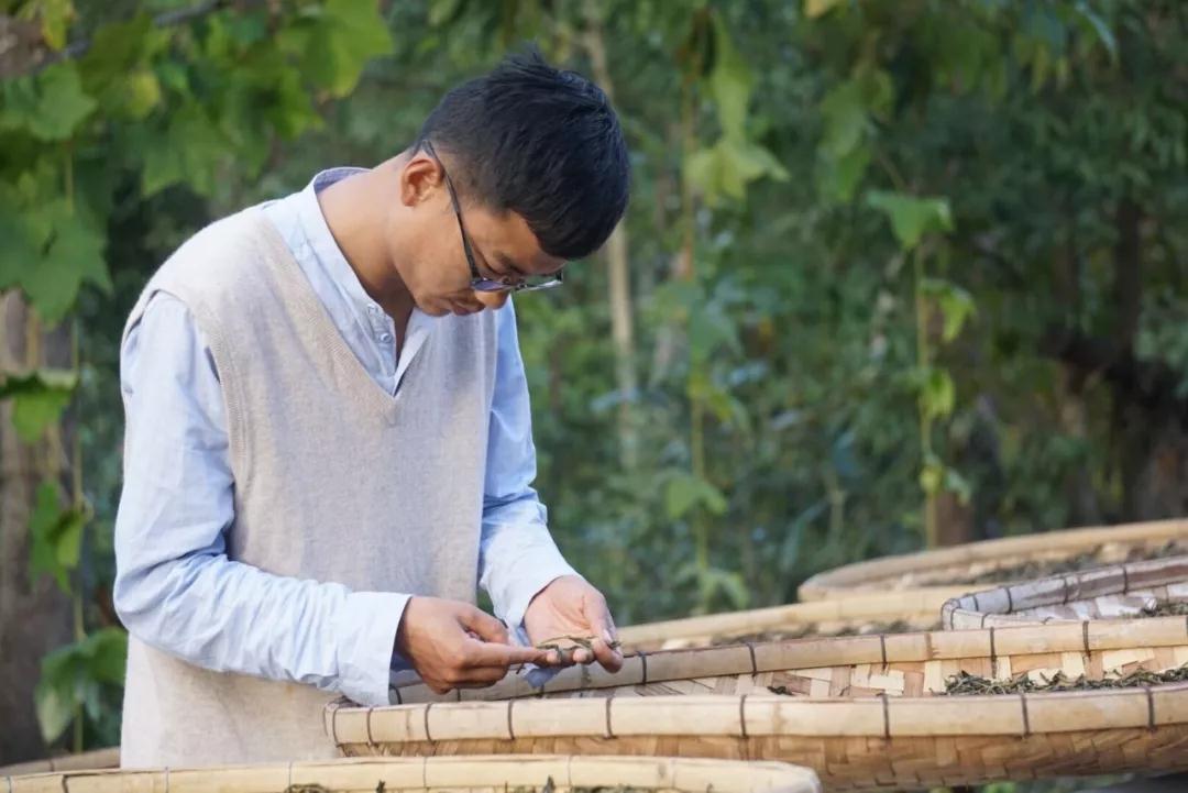 什么样的普洱茶口感算是好茶,普洱茶文化与品茶知识