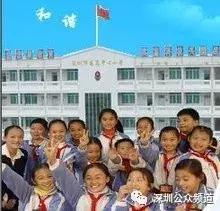 深圳贵族小学,深圳贵族小学排名前十名