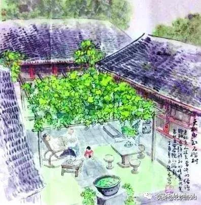 老北京养金鱼的讲究,老北京瓦盆养金鱼