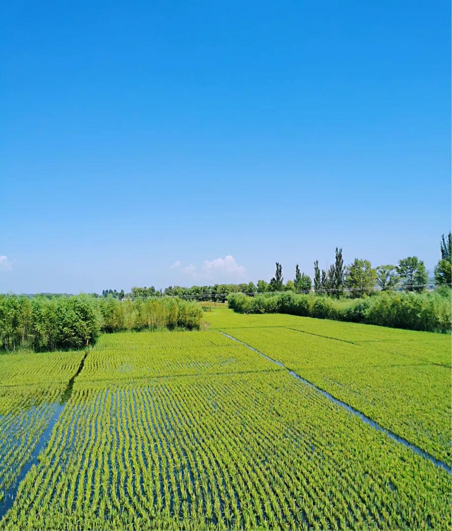 滹沱河畔冬日美景,滹沱河边漫步赏美景