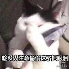 达州远达置业顾问,置业顾问一年挣多少钱