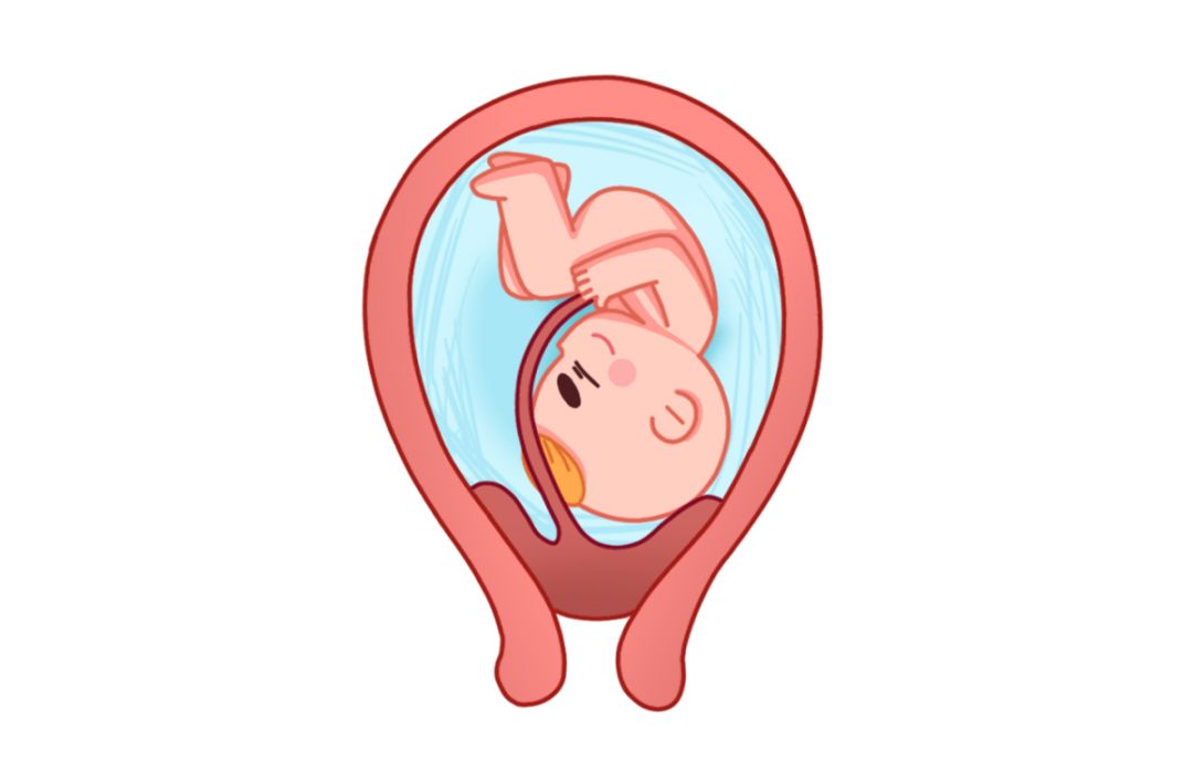 孕早期胎盘低置什么原因,孕中期胎盘低需要卧床多长时间