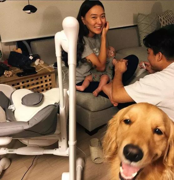 怀孕了，就把狗扔了吧，多脏啊