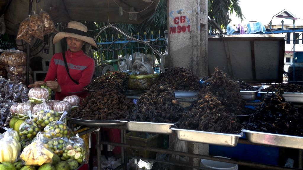 中国去暹粒,北京怎么去暹粒