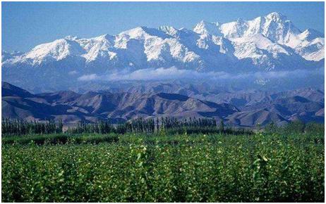 在核心产区寻找中国酒报道之十一：西北特色产区价值“出好酒，多酒种”迎来新机遇