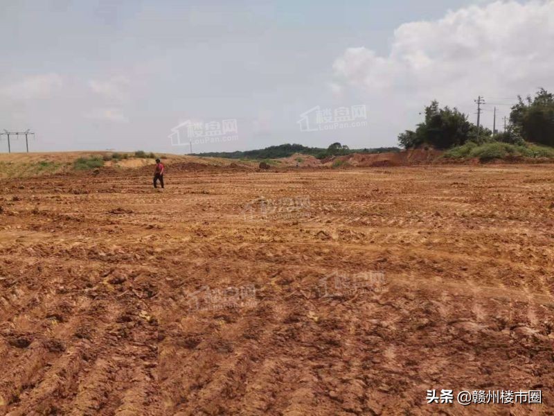 赣州蓉江新区2024拍地计划,赣州章江新区土拍