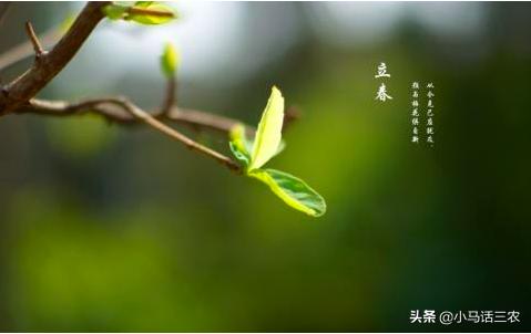 春打六九头说的是立春吗,春打六九头是指立春吗