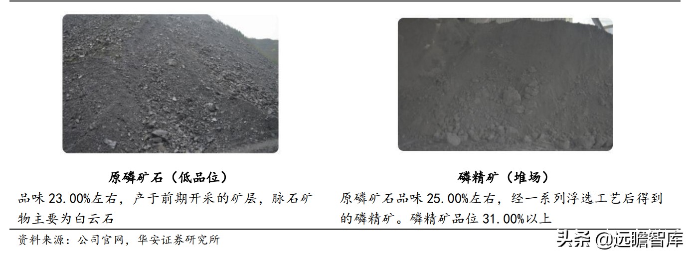 川发龙蟒锂电新能源,川发龙蟒10万吨磷酸铁锂项目落地